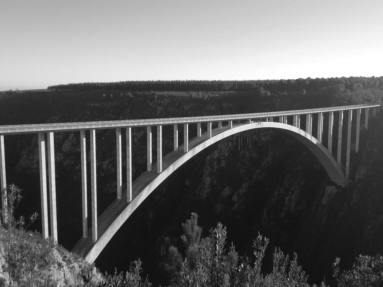 Bridge_bloukraans